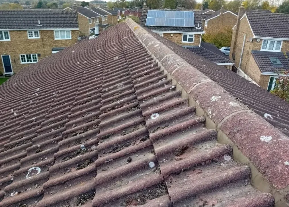 Ridge tiles re-bedded: view 2