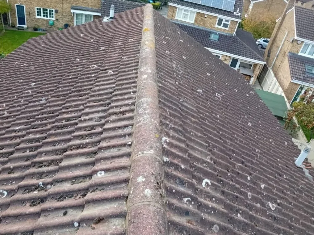 Ridge tiles re-bedded: view 1